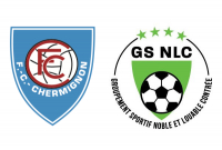 Matchs amicaux